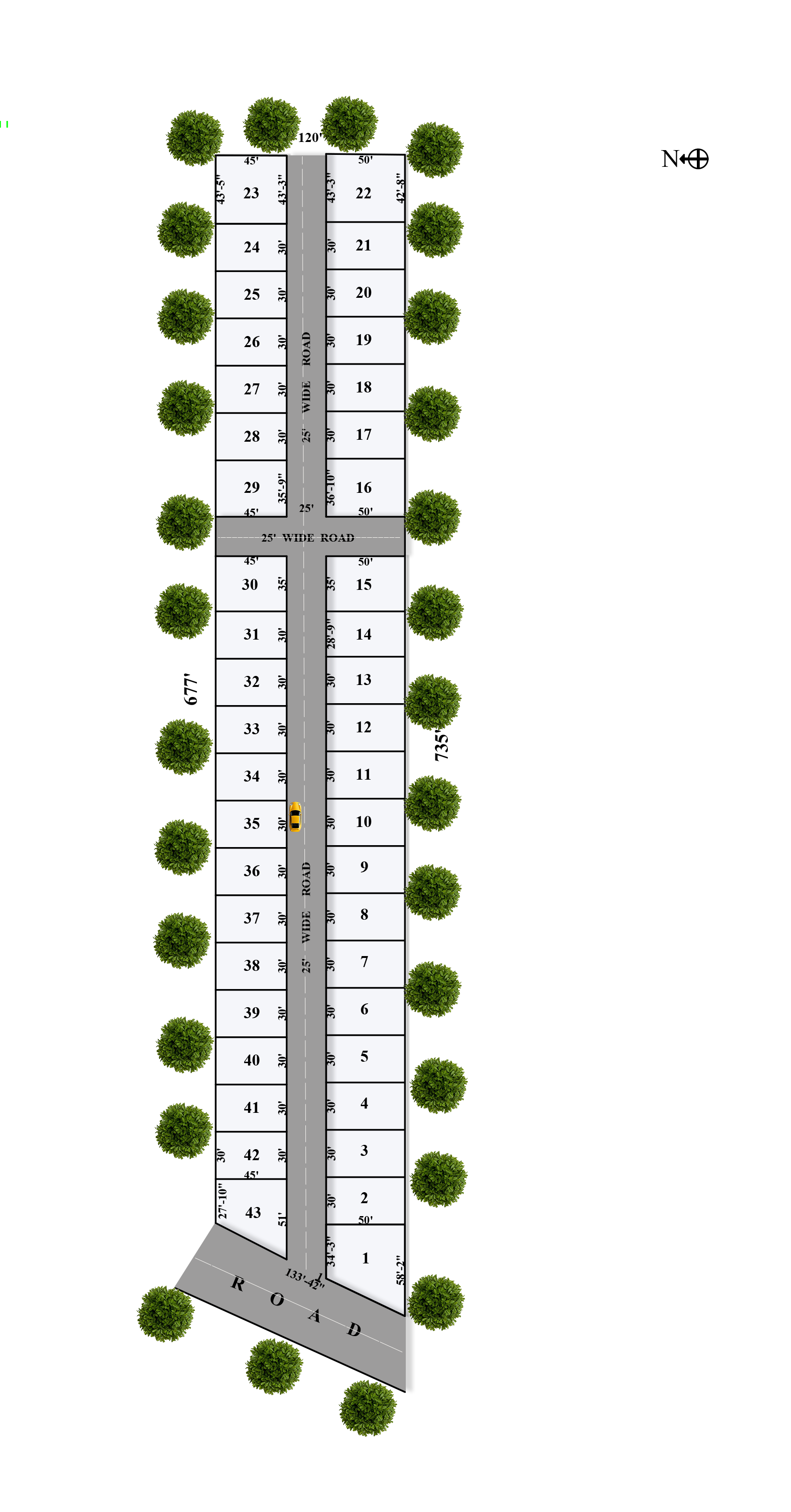 Layout 1
